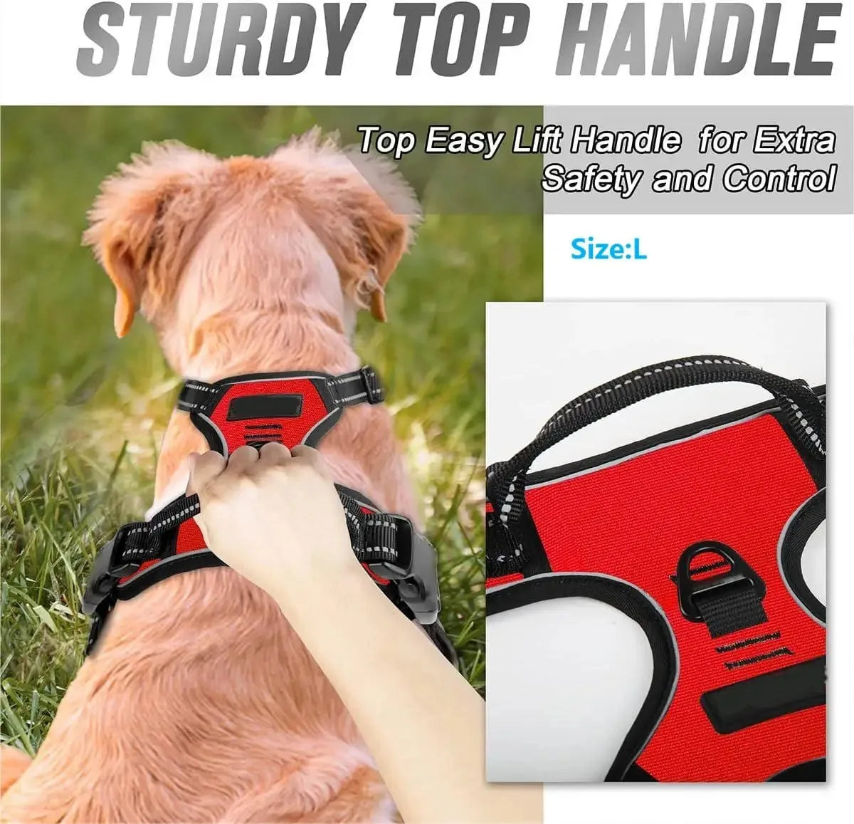 Dog Collars, Harness & Leash Set