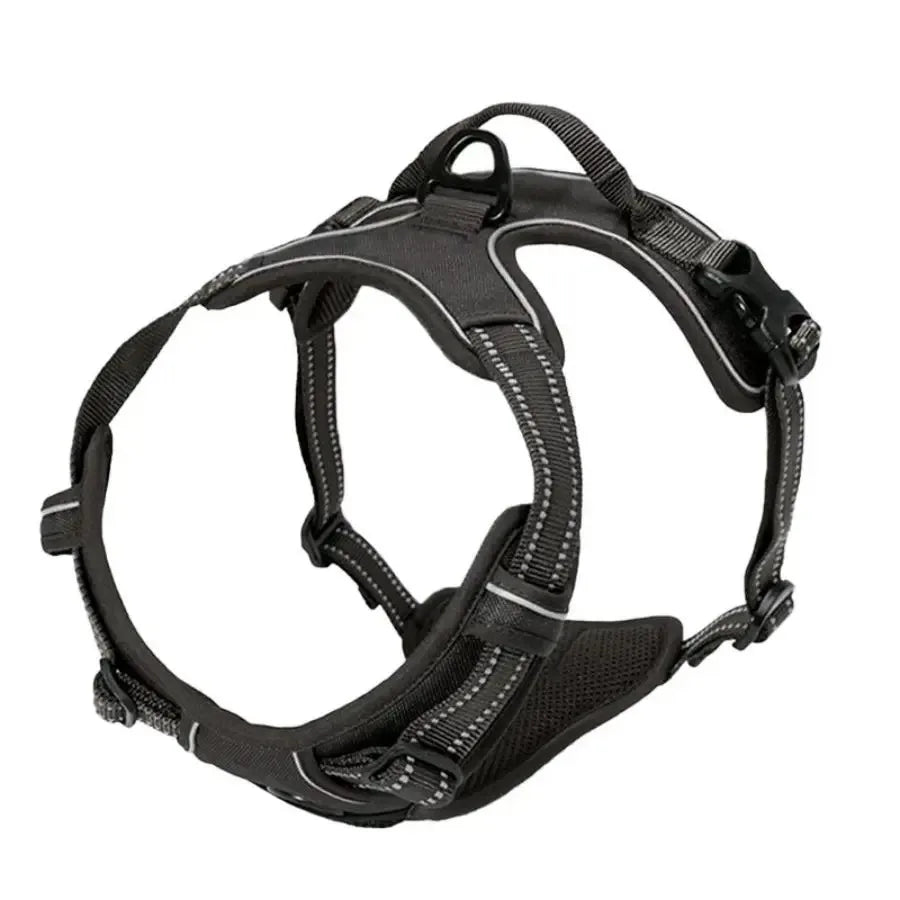 Dog Collars, Harness & Leash Set