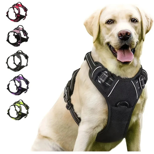 Dog Collars, Harness & Leash Set – Leather Accessories for Small & Medium Dogs