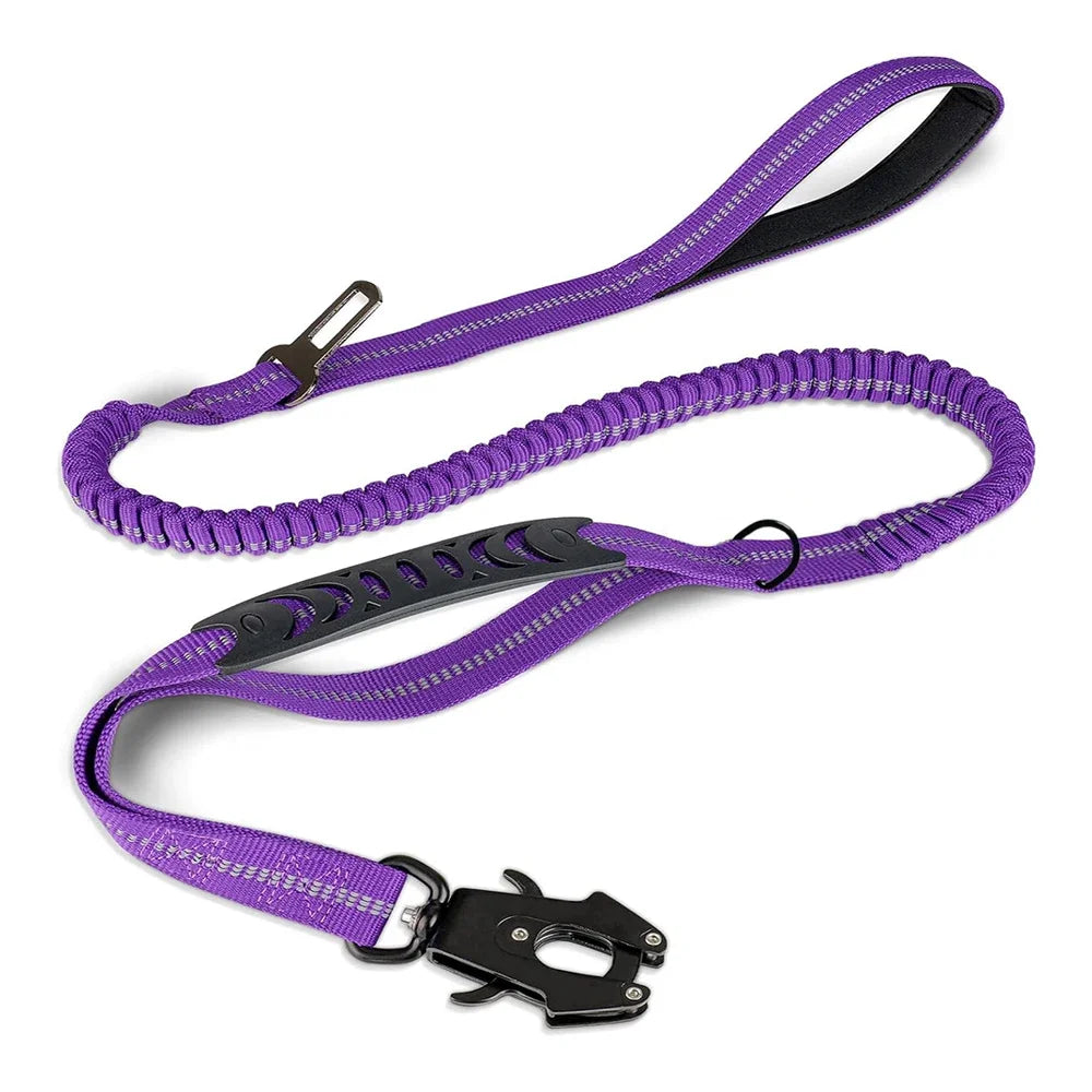 Reflective Shock-Absorbing Dog Leash