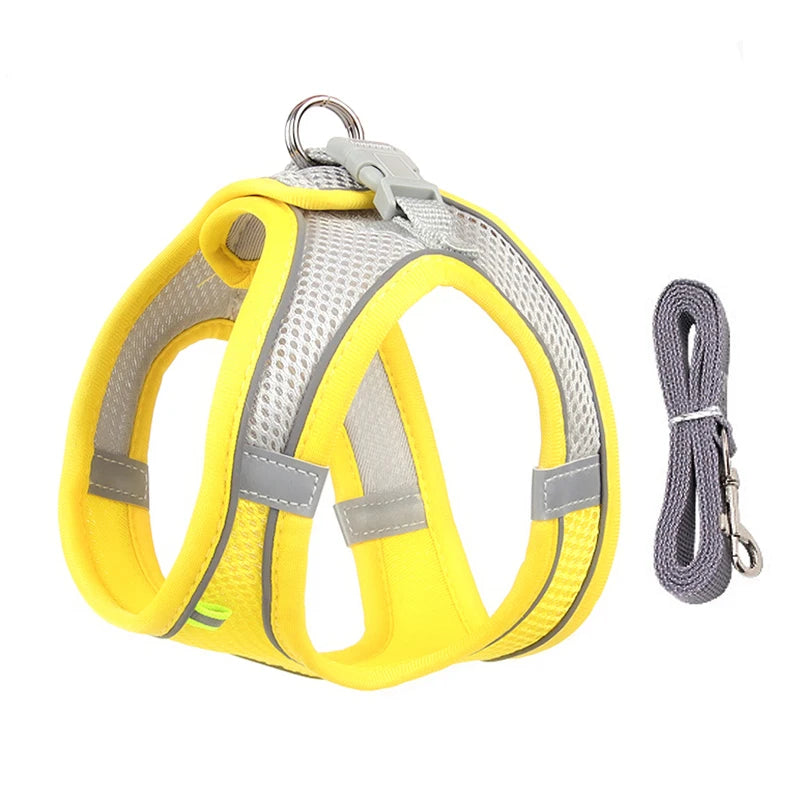 Adjustable Dog Harness & Leash Set – Small Dogs, Puppies & Cats