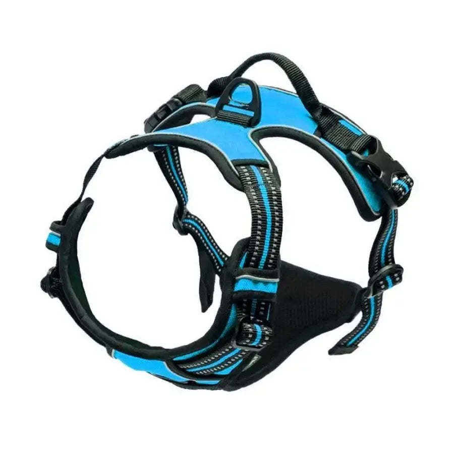 Dog Collars, Harness & Leash Set