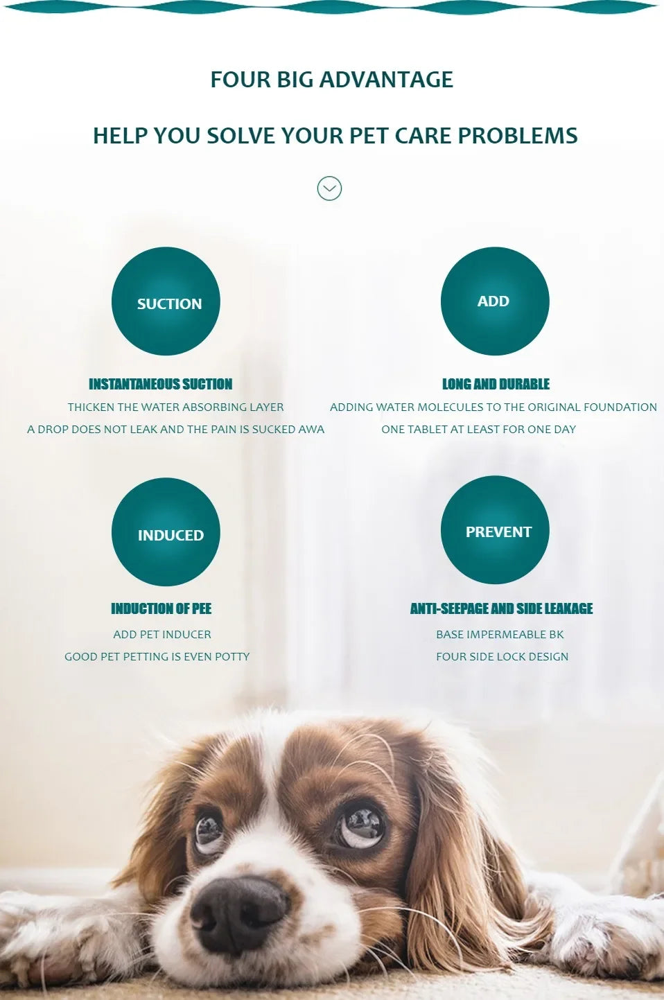 Reusable Dog Pee Pad Blanket