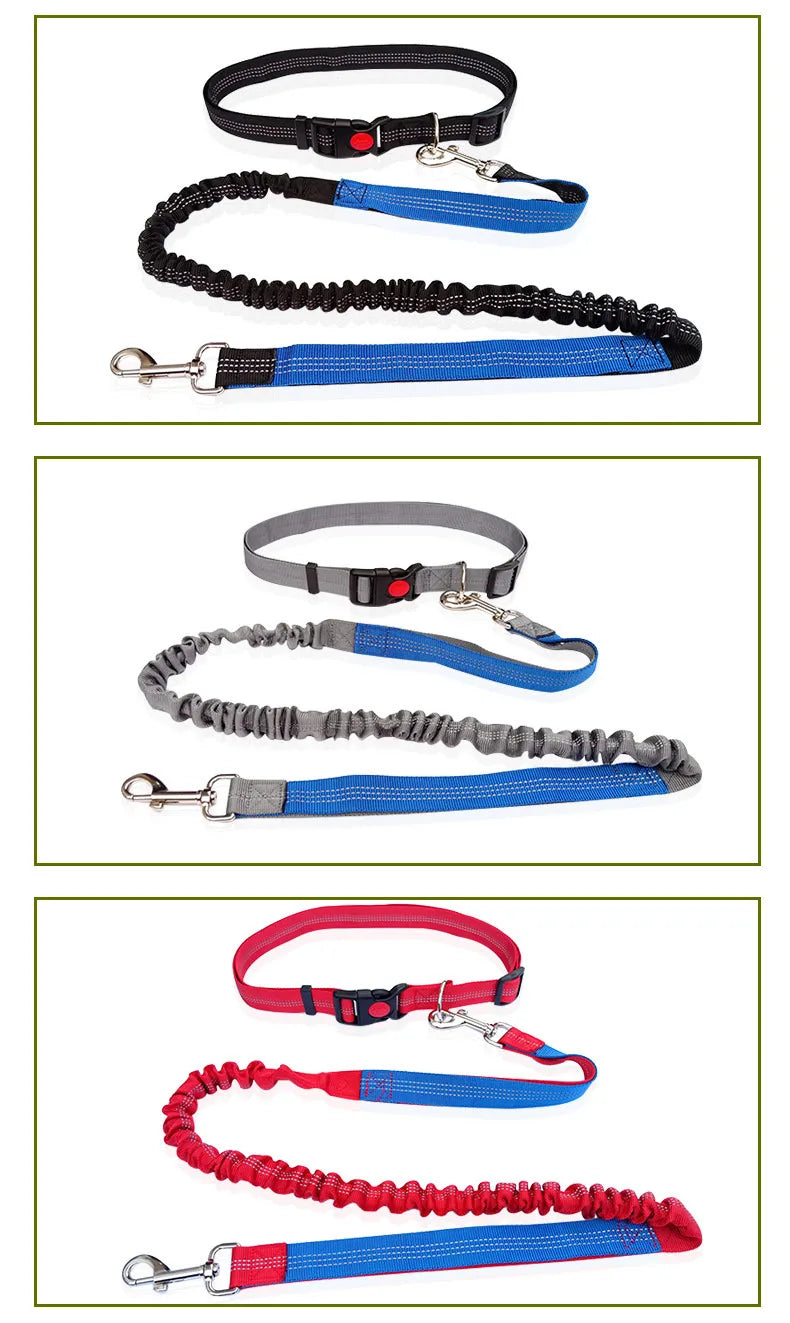 Hands-Free Dog Leash