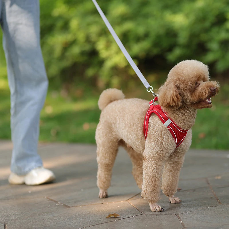 Adjustable Dog Harness & Leash Set – Small Dogs, Puppies & Cats