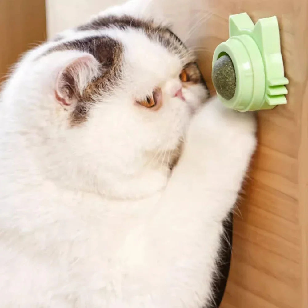 Catnip Lollipop Treat – Wall-Mount Cat Snack for Dental Care & Fresh Breath
