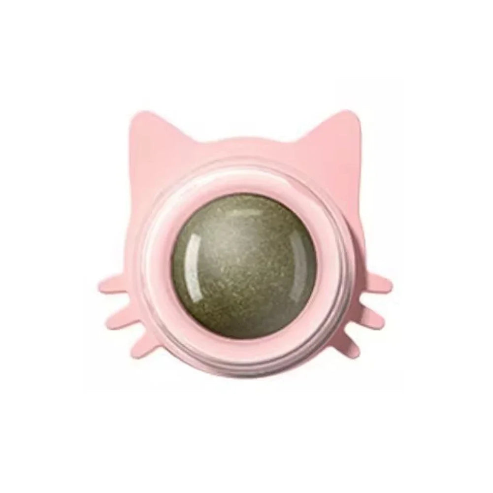 Catnip Lollipop Treat – Wall-Mount Cat Snack for Dental Care & Fresh Breath