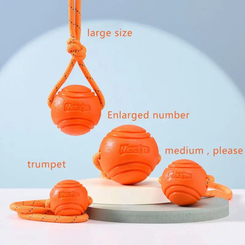 Dog Ball Toys
