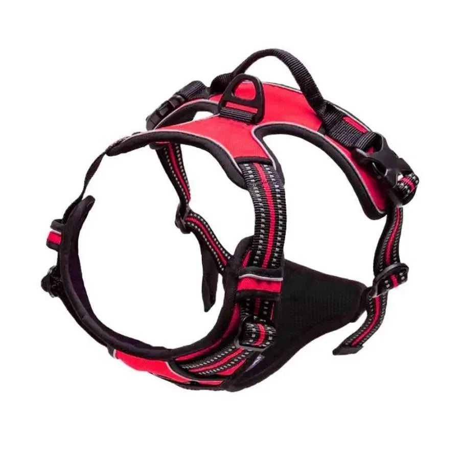 Dog Collars, Harness & Leash Set