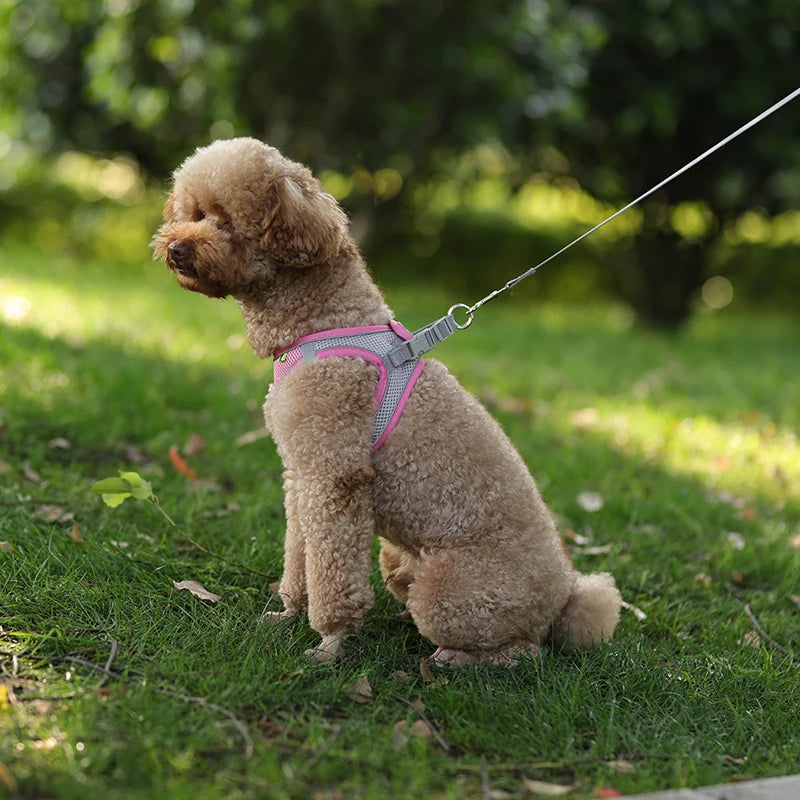 Adjustable Dog Harness & Leash Set – Small Dogs, Puppies & Cats