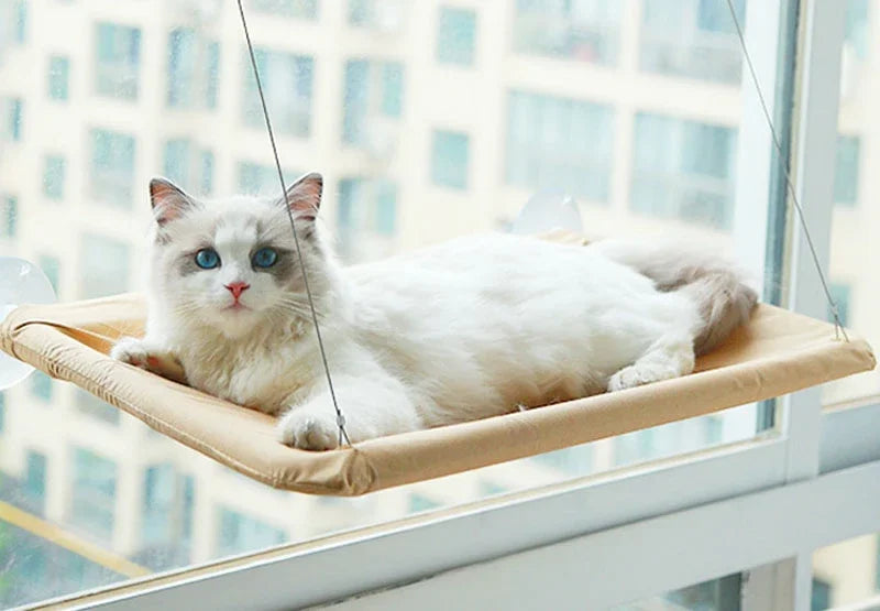 Cat Window Hammock
