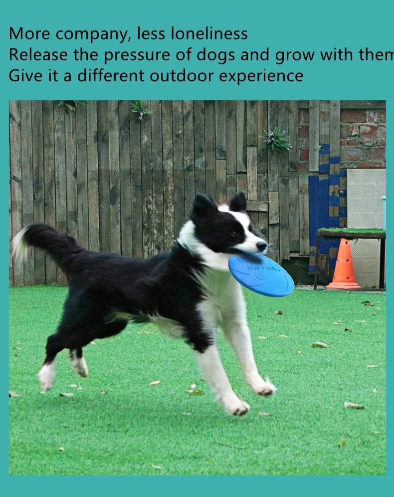 Durable Silicone Dog Flying Disc 🐶🛸