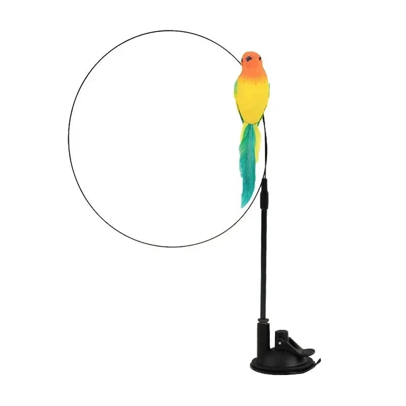 Interactive Peacock Cat Toy