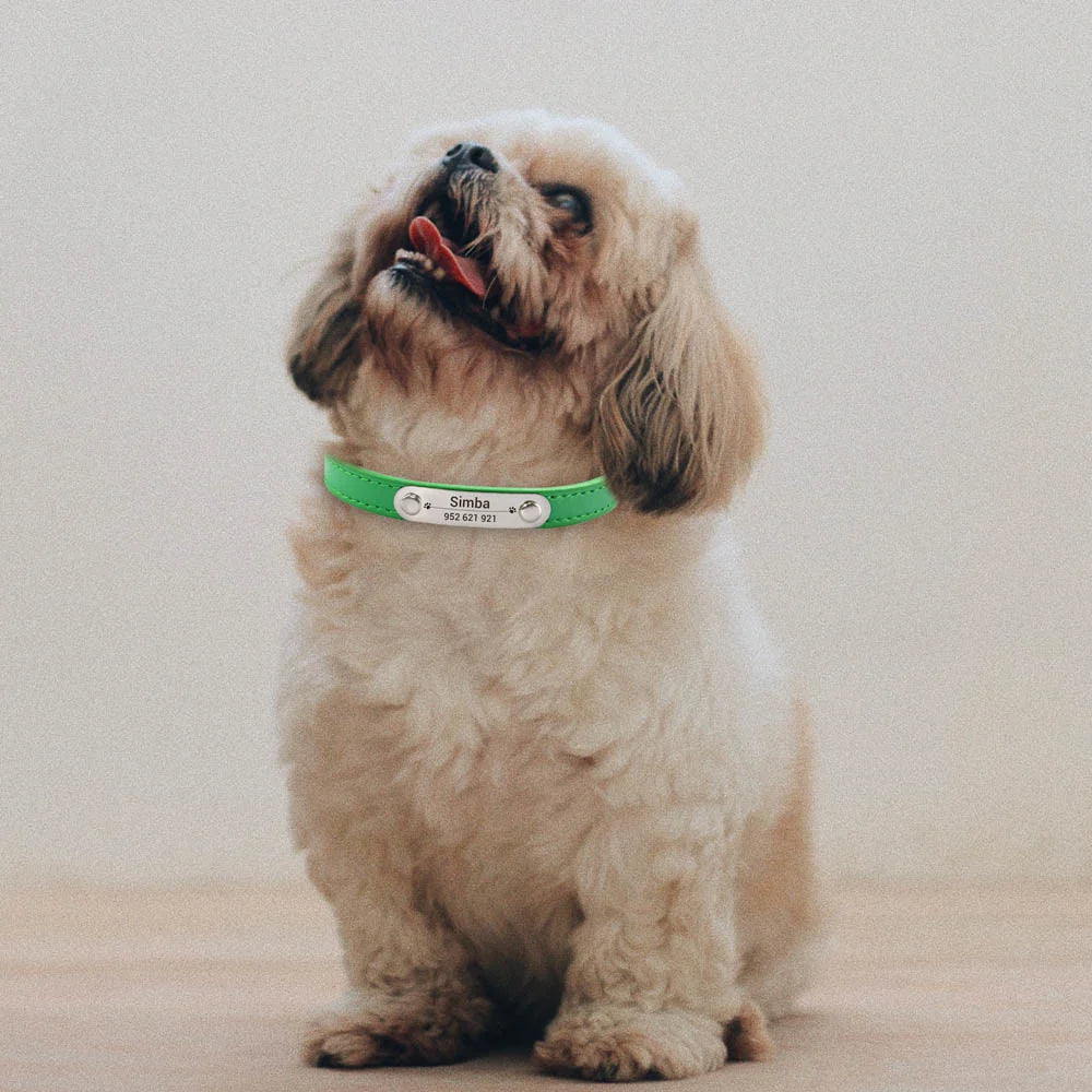 Personalised PU Leather Dog Collar