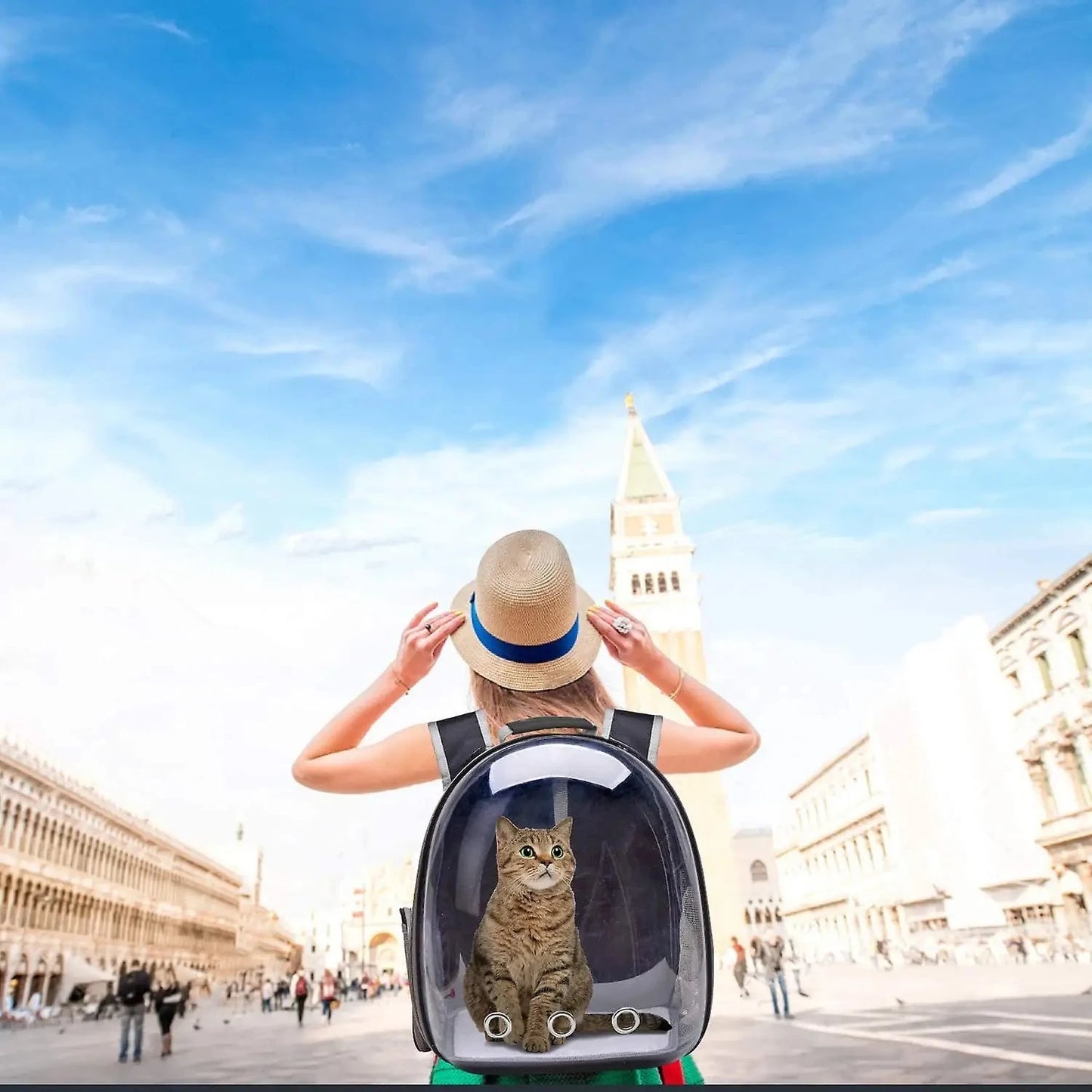Transparent Bubble Pet Carrier Backpack