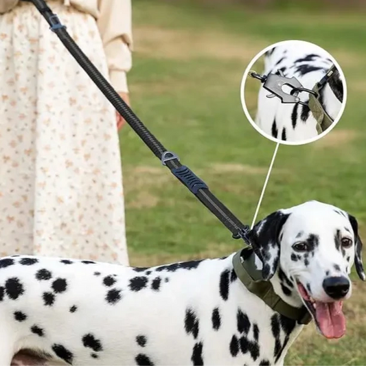 Reflective Shock-Absorbing Dog Leash – Heavy-Duty Bungee with Car Seatbelt