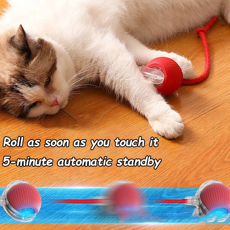 Automatic Rolling Cat Toy – Rechargeable & Tail Flicking