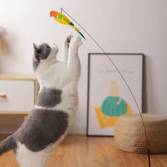 Interactive Peacock Cat Toy