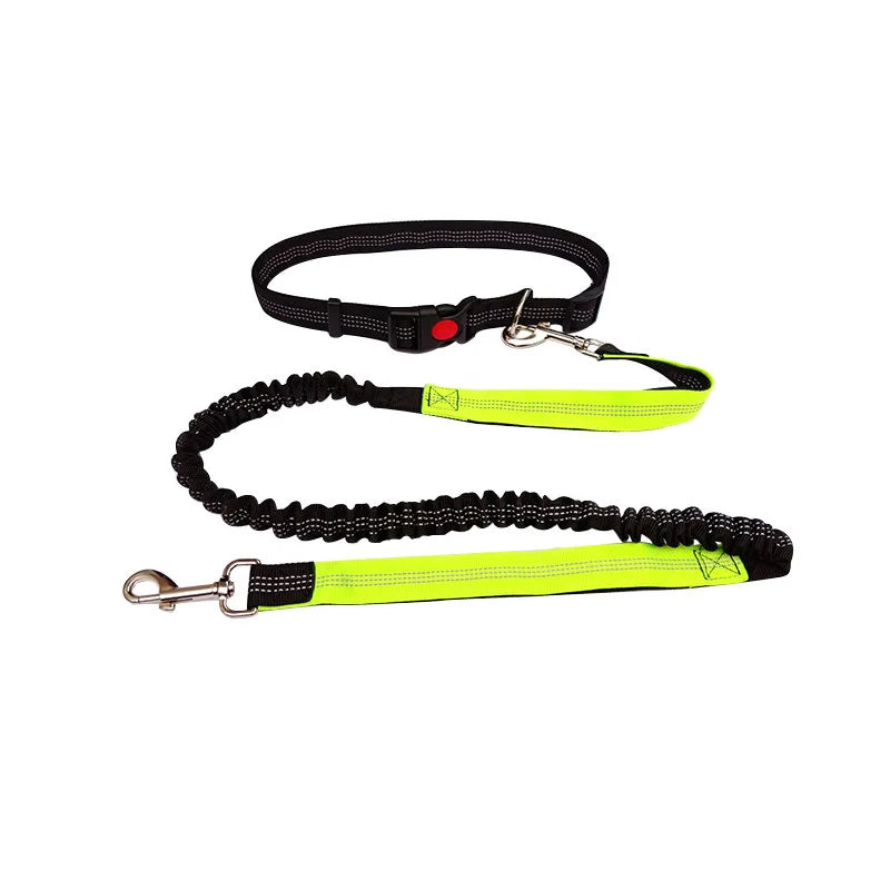 Hands-Free Dog Leash