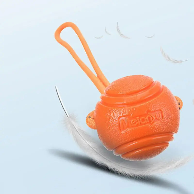 Dog Ball Toys