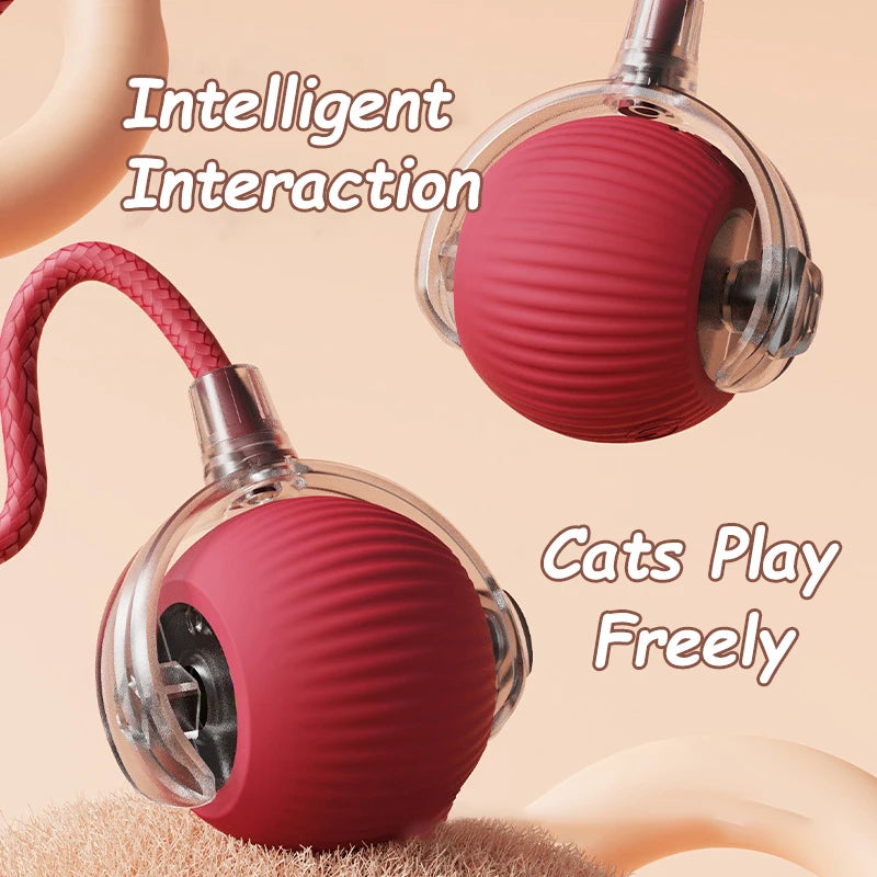 Automatic Rolling Cat Toy – Rechargeable & Tail Flicking