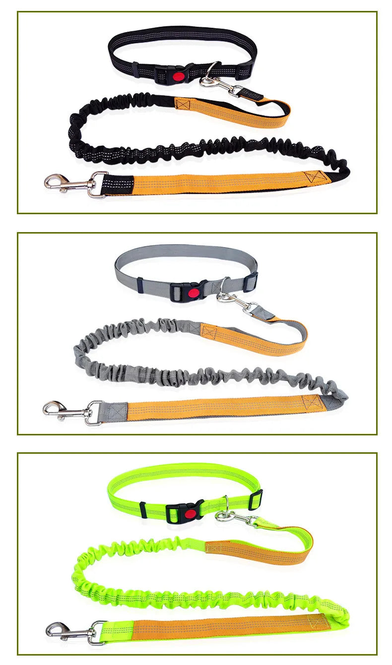 Hands-Free Dog Leash