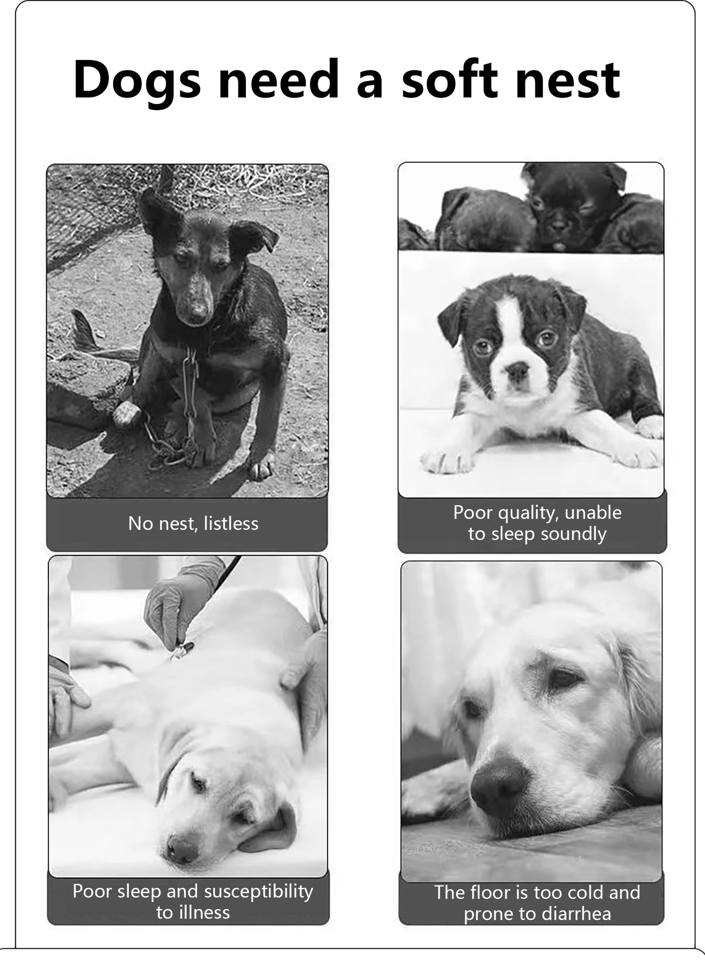 Durable Waterproof Dog Bed