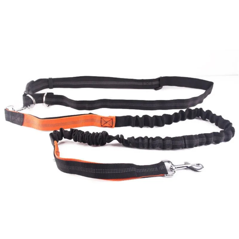 Hands-Free Dog Leash