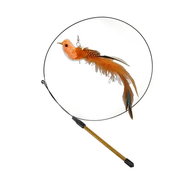 Interactive Peacock Cat Toy