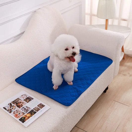 Reusable Dog Pee Pad Blanket