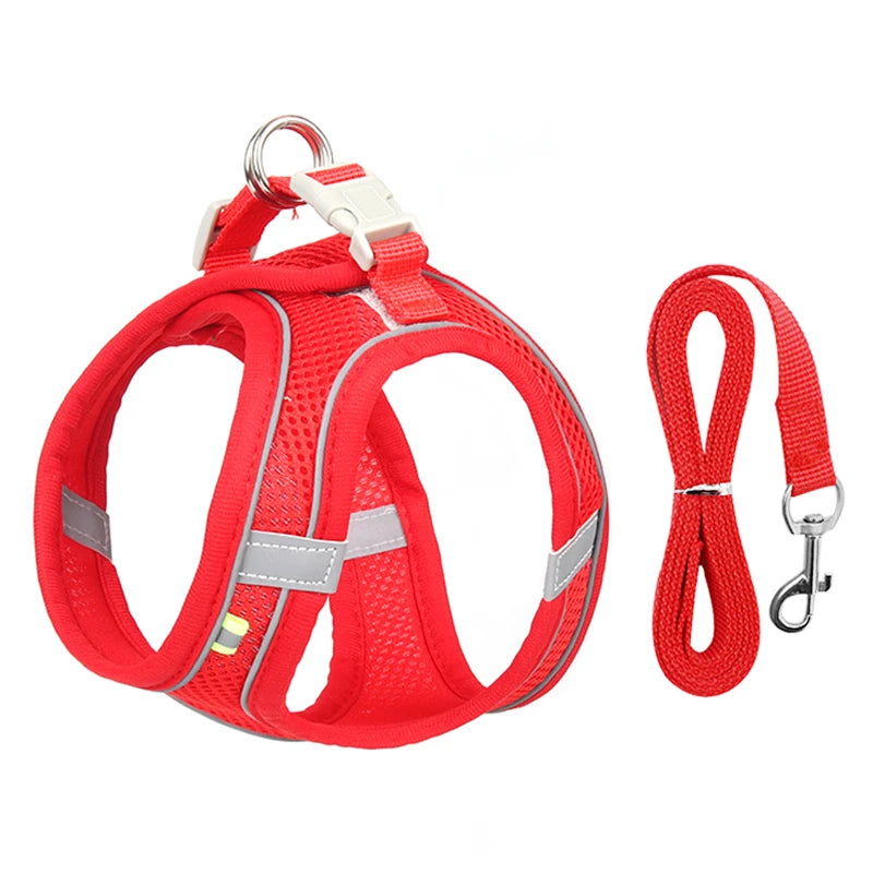 Adjustable Dog Harness & Leash Set – Small Dogs, Puppies & Cats
