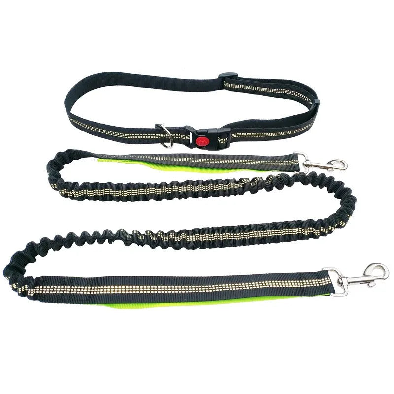Hands-Free Dog Leash