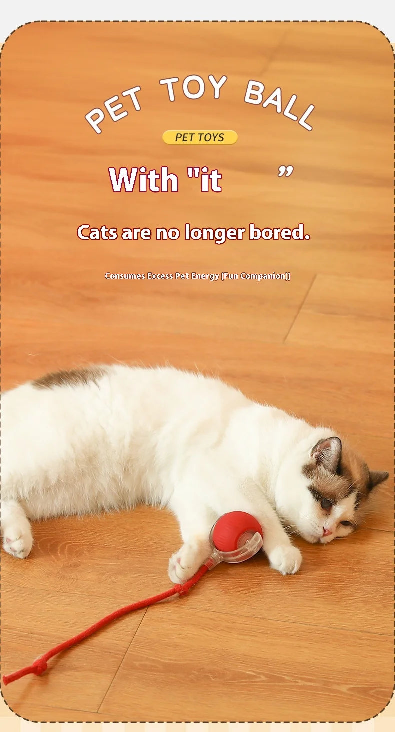 Automatic Rolling Cat Toy – Rechargeable & Tail Flicking