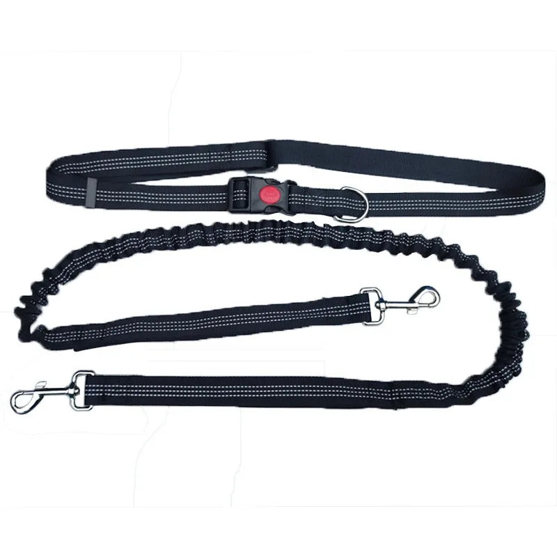 Hands-Free Dog Leash