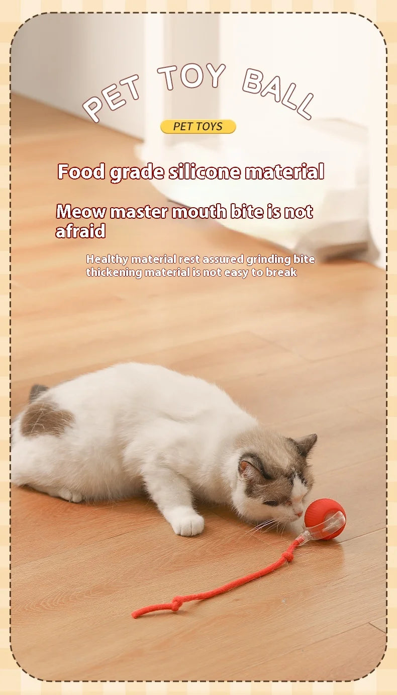 Automatic Rolling Cat Toy – Rechargeable & Tail Flicking