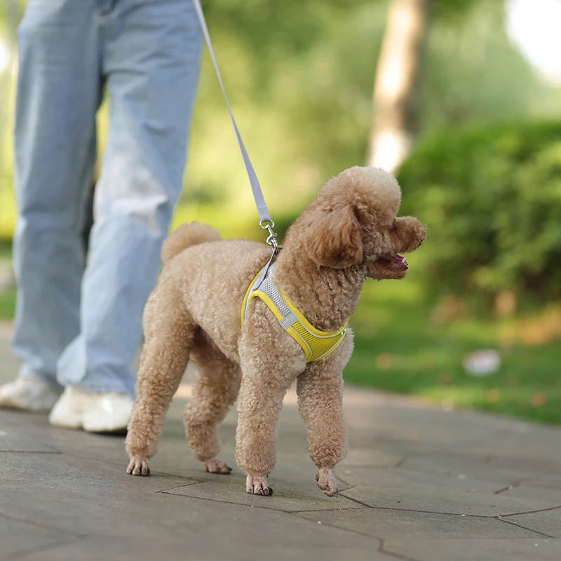 Adjustable Dog Harness & Leash Set – Small Dogs, Puppies & Cats