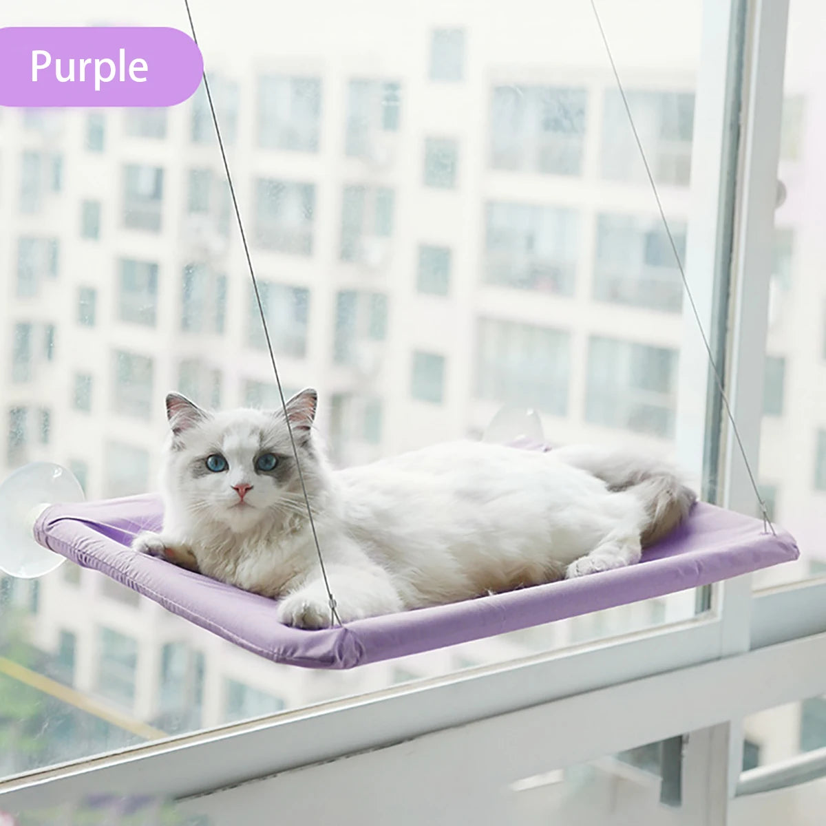 Cat Window Hammock