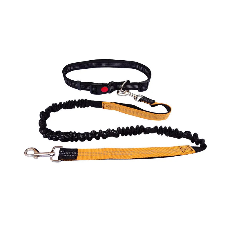Hands-Free Dog Leash