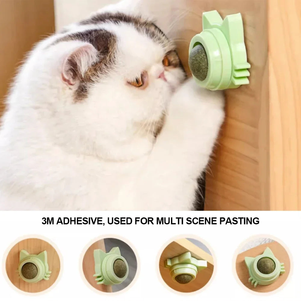 Catnip Lollipop Treat – Wall-Mount Cat Snack for Dental Care & Fresh Breath