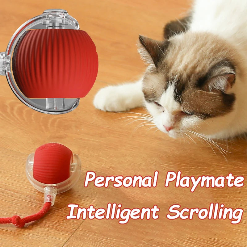Automatic Rolling Cat Toy – Rechargeable & Tail Flicking