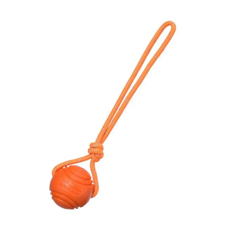 Dog Ball Toys