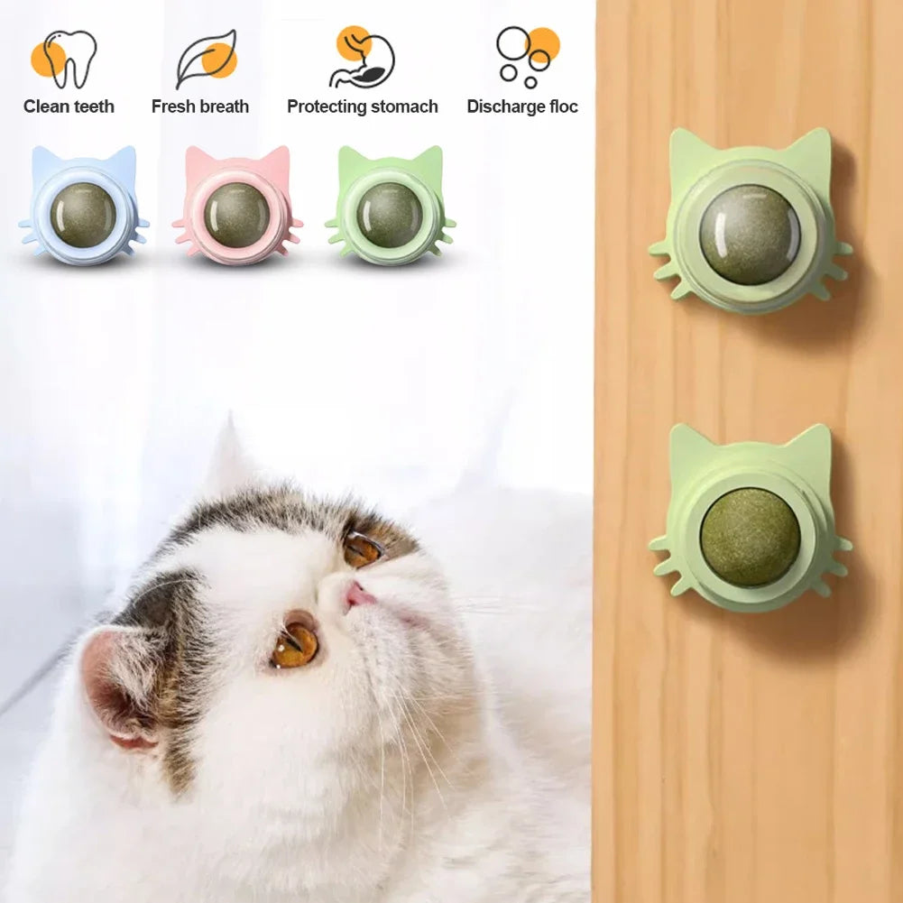 Catnip Lollipop Treat – Wall-Mount Cat Snack for Dental Care & Fresh Breath