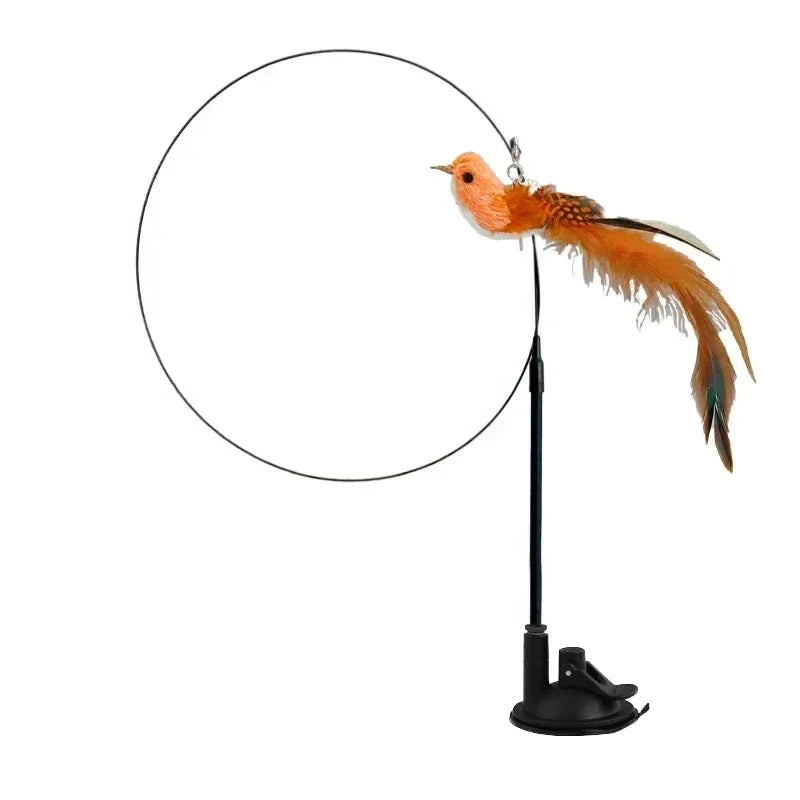 Interactive Peacock Cat Toy