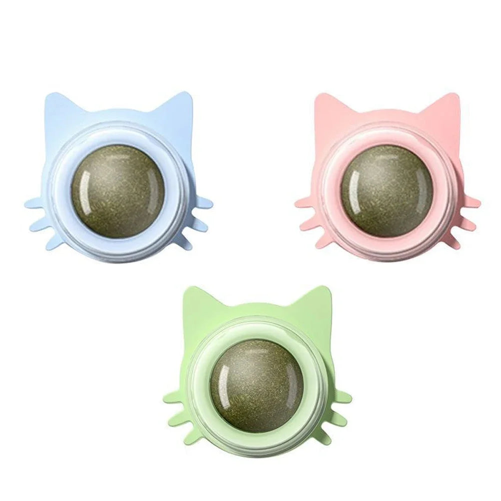 Catnip Lollipop Treat – Wall-Mount Cat Snack for Dental Care & Fresh Breath