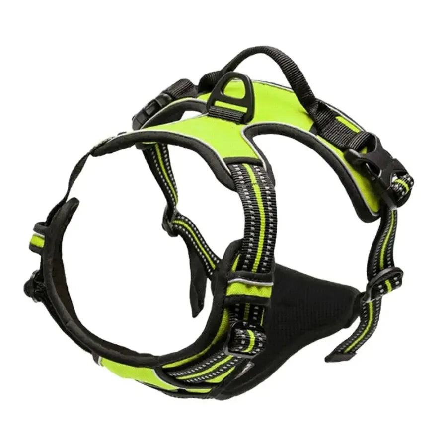 Dog Collars, Harness & Leash Set