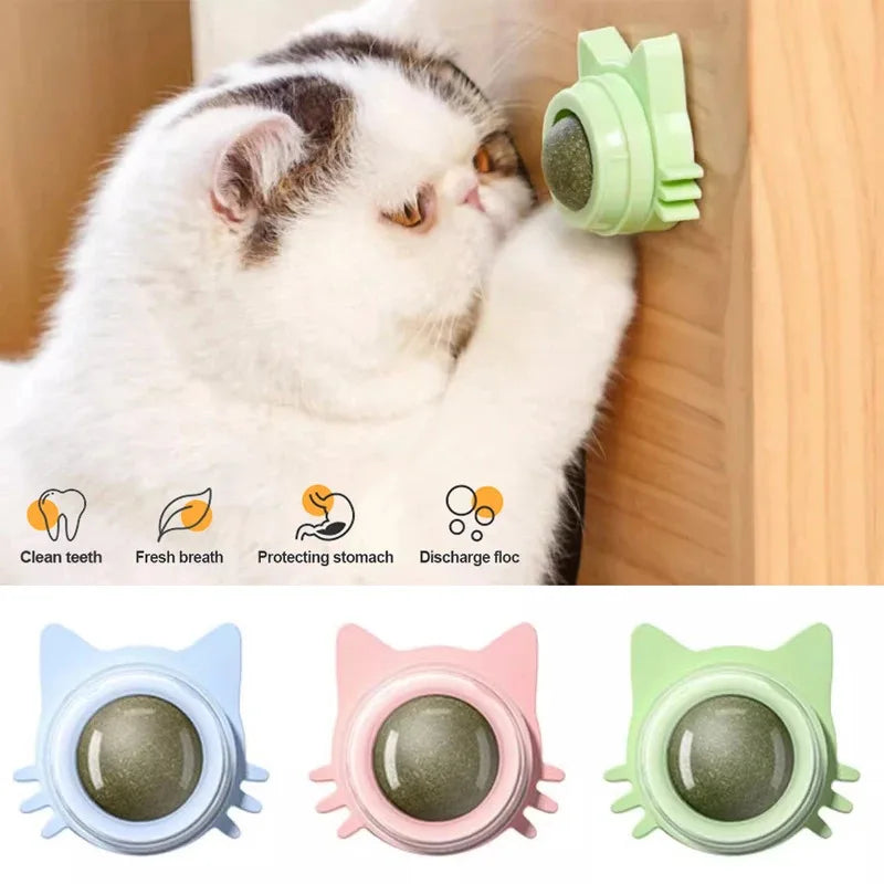 Catnip Lollipop Treat – Wall-Mount Cat Snack for Dental Care & Fresh Breath