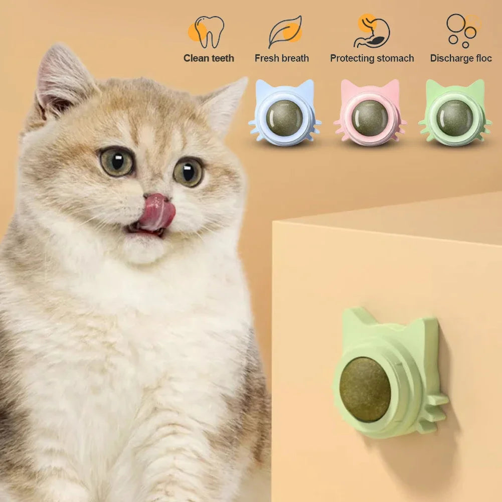 Catnip Lollipop Treat – Wall-Mount Cat Snack for Dental Care & Fresh Breath