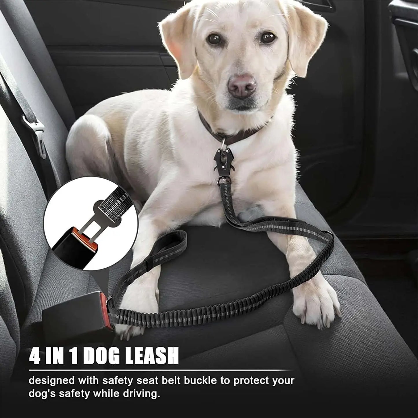 Reflective Shock-Absorbing Dog Leash
