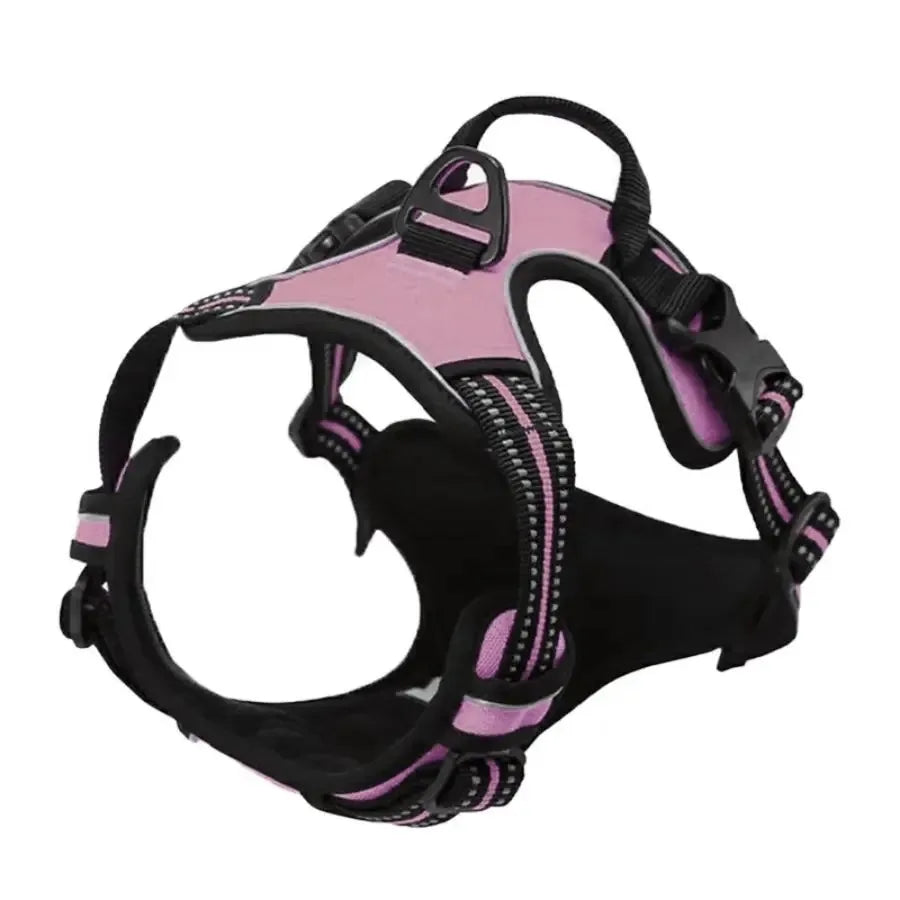 Dog Collars, Harness & Leash Set