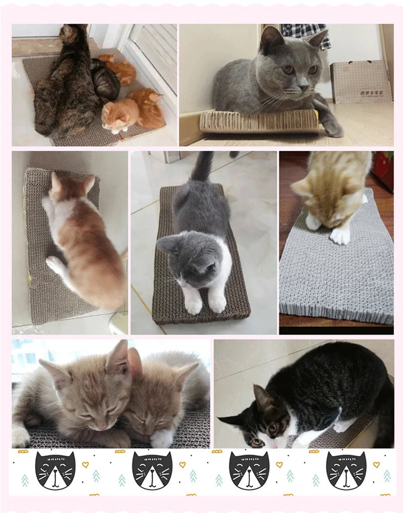 Corrugated Cat Scratcher Toy